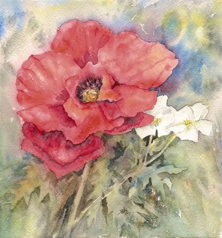 2008 Red Poppy and Geraniums Watercolour